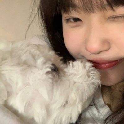 楚乔奇缘破解版下载